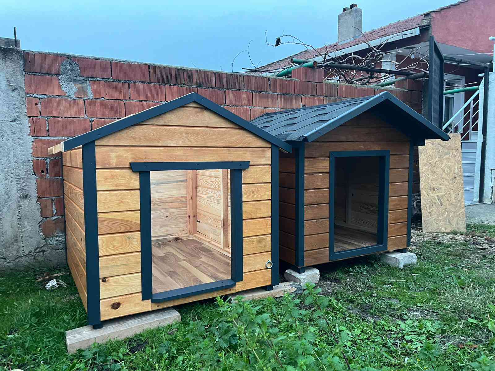 Köpek kulübesi