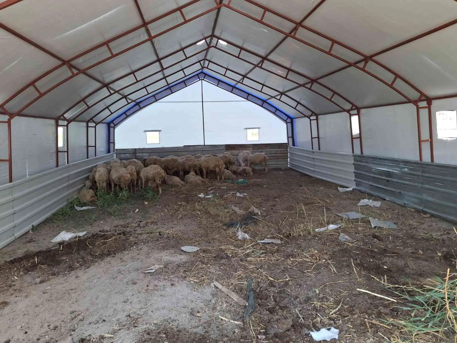 8x10 80M2–81 İL'E KAPIDA ÖDEME-KÜÇÜKBAŞ,BÜYÜKBAŞ,TAVUK-ÇADIRI