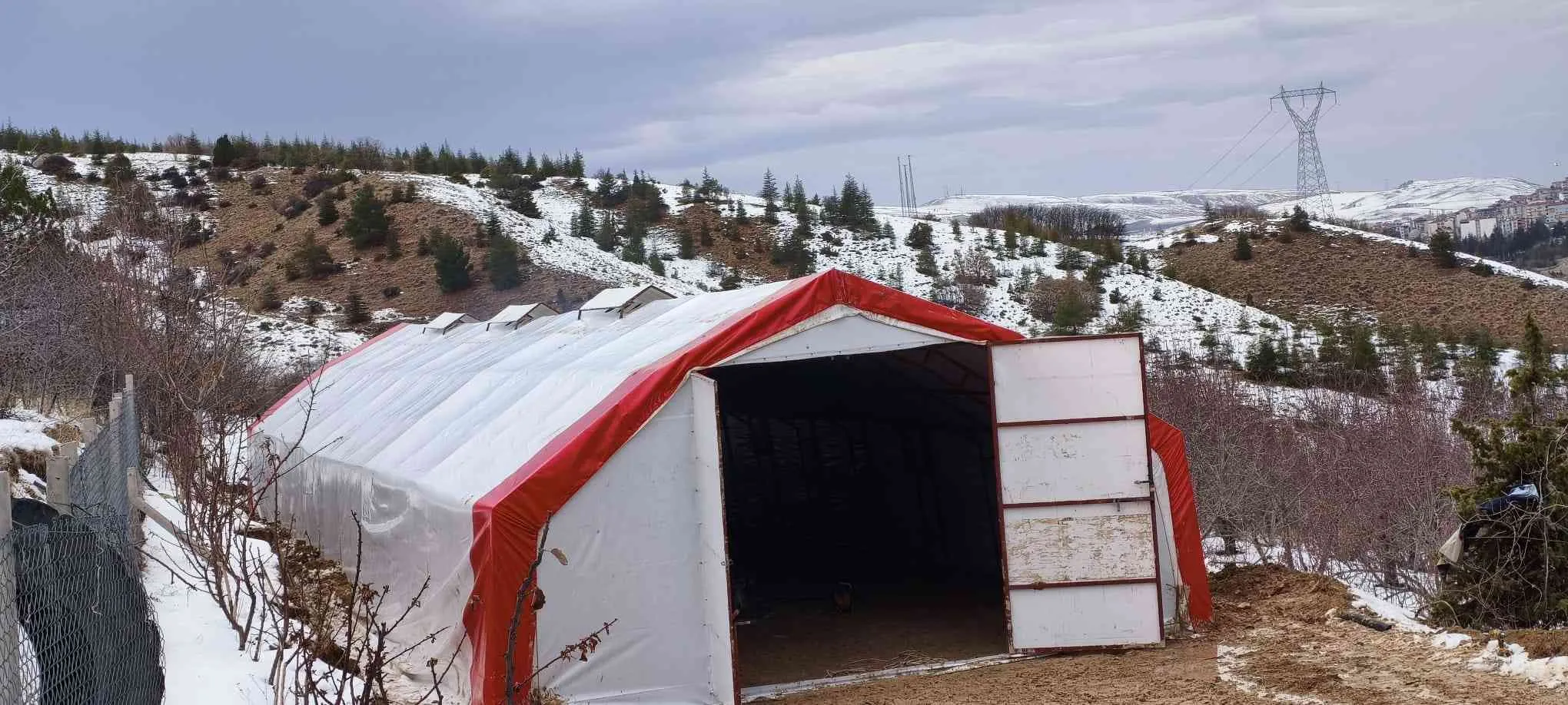10x25 250M2–81 İL'E KAPIDA ÖDEME-KÜÇÜKBAŞ,BÜYÜKBAŞ,TAVUK-ÇADIRI
