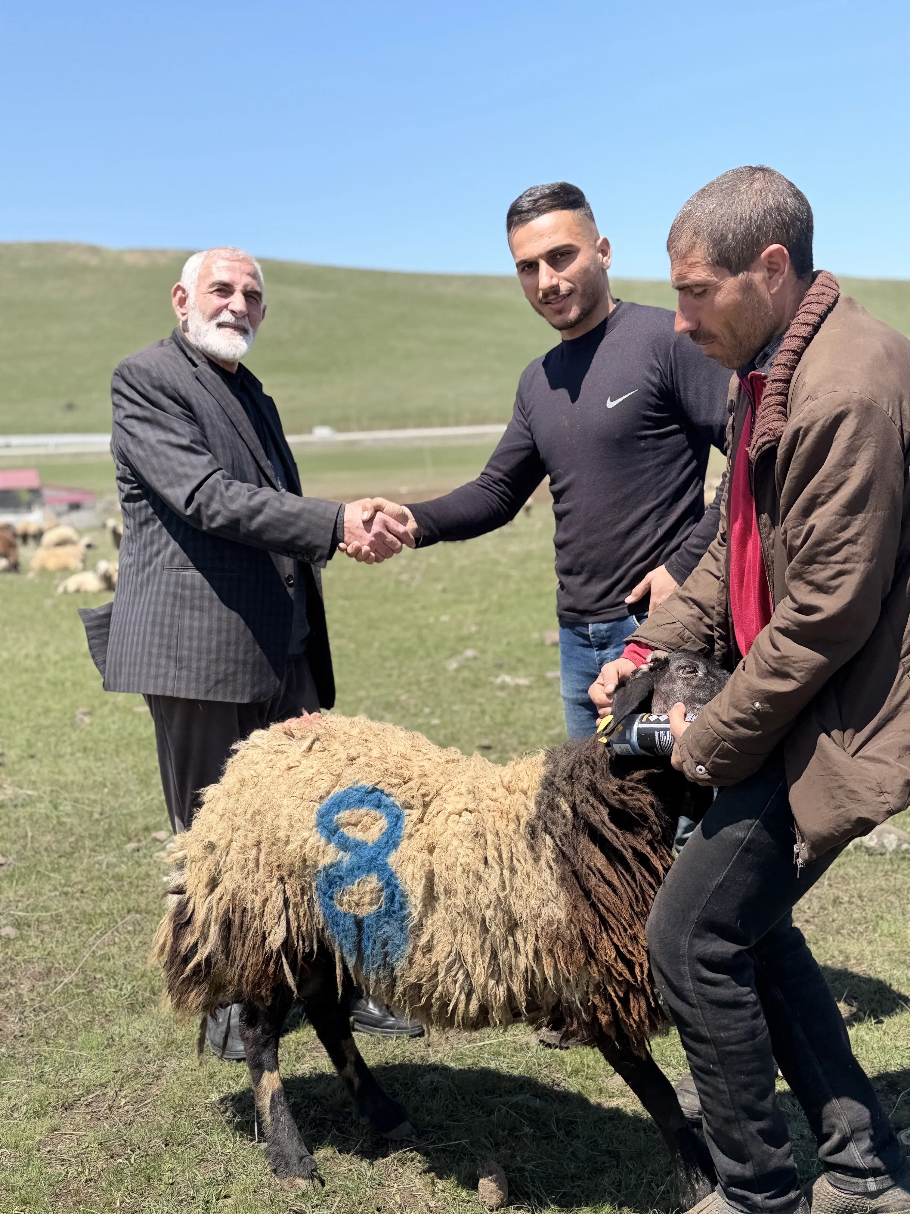 Kücükbaş Kurbanlık Bulunur Bakımı ve kesimi ücretsizdir