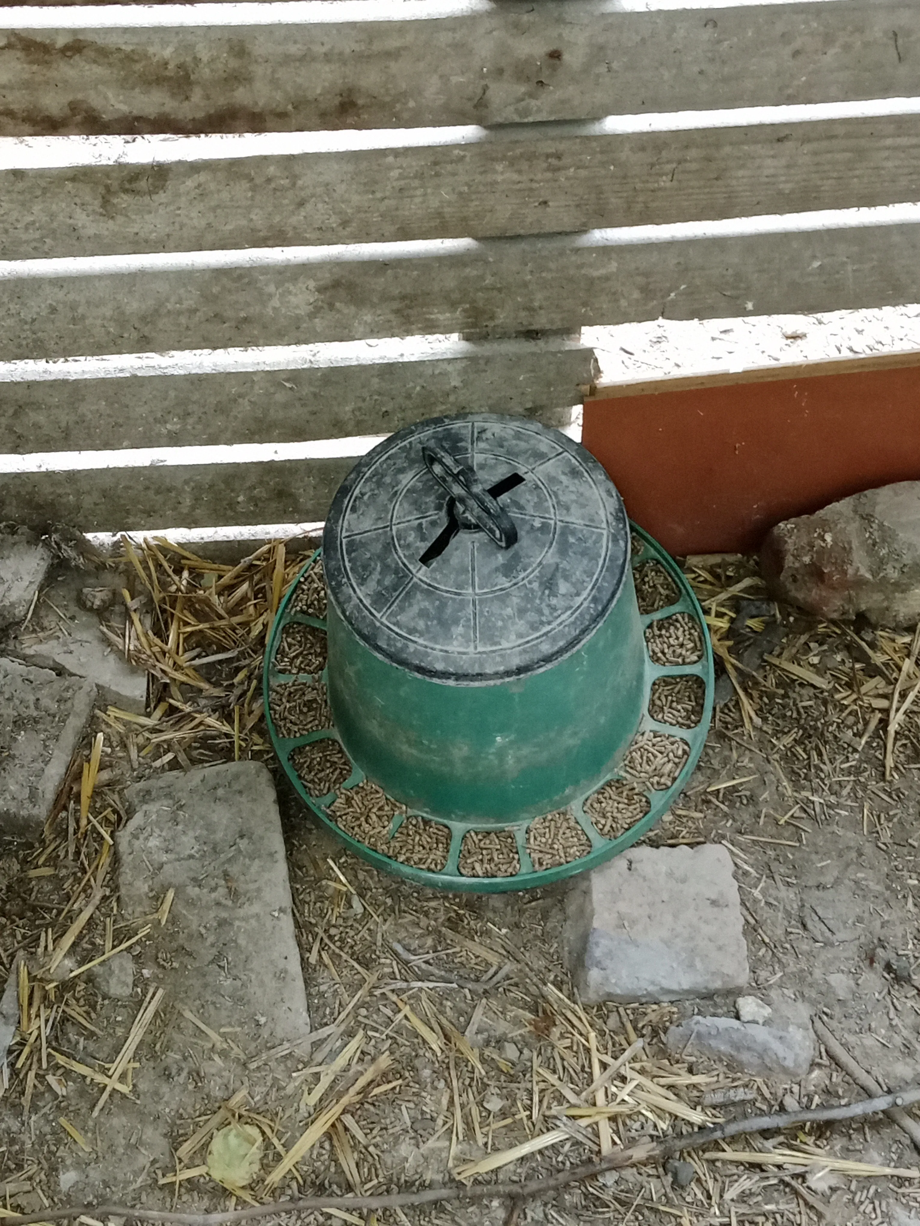 Satılık yumurta yemi 15 kilo kaldı kilosu 35 liradan verilecek