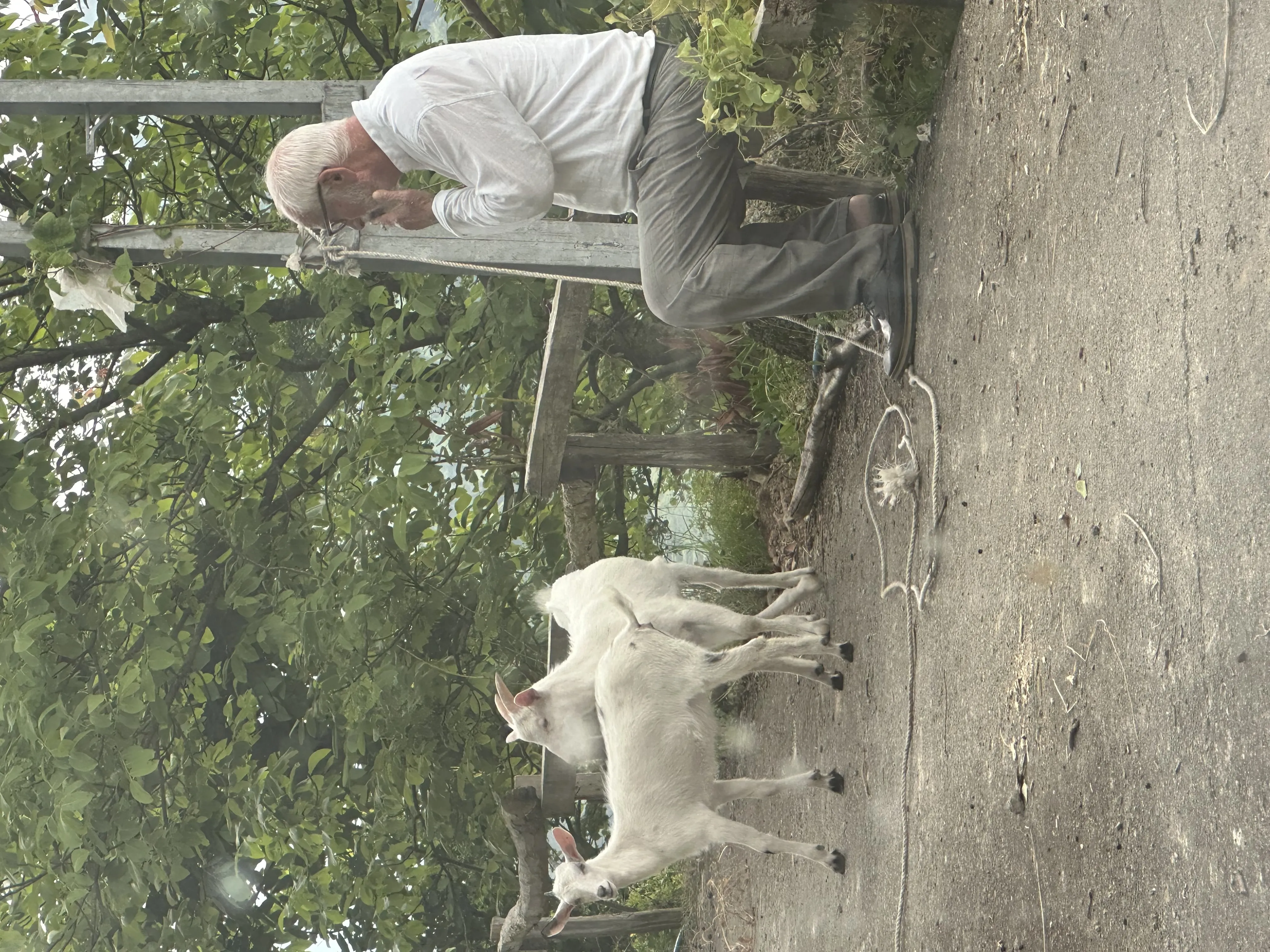 Sahibinden